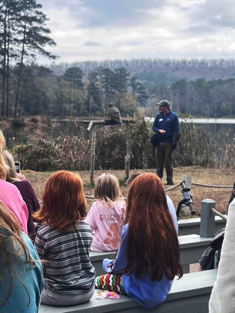 Check out the Birds of Prey show at Callaway with the free day pass that comes with your Fantasy in Lights ticket | atlantaandbeyond.com