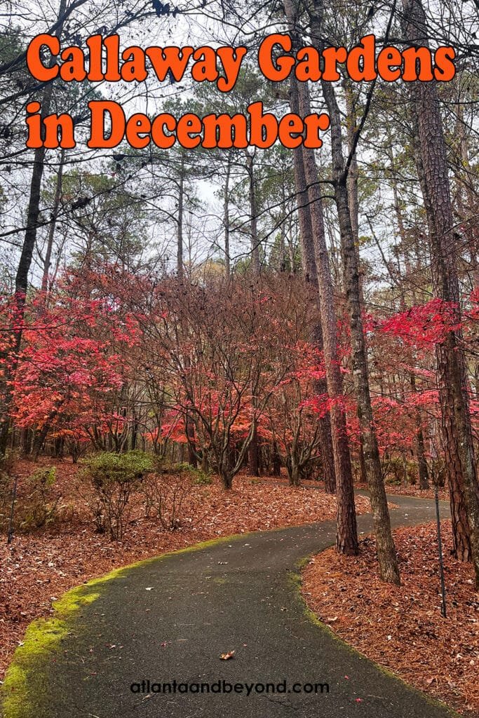 A Day Trip to Callaway Gardens is included with every Fantasy in Lights ticket - how to make the most of a day at Callaway in December | atlantaandbeyond.com
