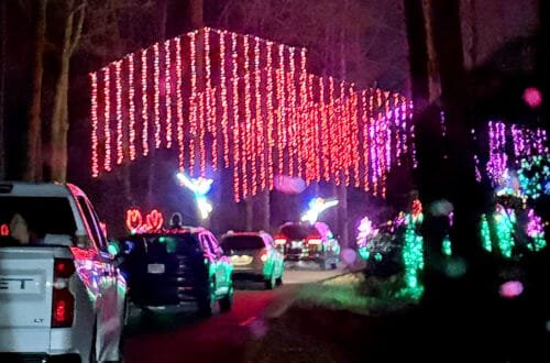 Enchanted Rainbow Forest, highlights the changing seasons. We drove underneath strings of colorful lights surrounded by delightful fairies and blooming flowers until Jack Frost blew cold air in ushering in winter and white lights | atlantaandbeyond.com