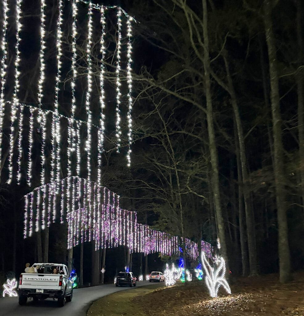 Enchanted Rainbow Forest, highlights the changing seasons. We drove underneath strings of colorful lights surrounded by delightful fairies and blooming flowers until Jack Frost blew cold air in ushering in winter and white lights | atlantaandbeyond.com