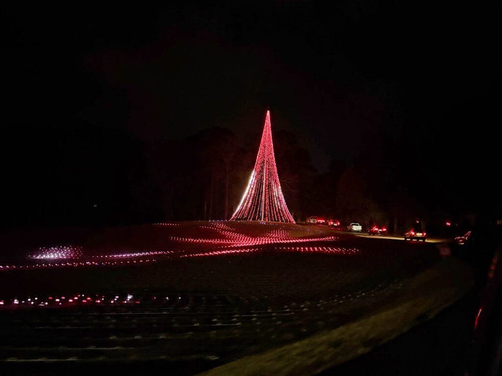 The Magical Field of Lights features a 10-story tall Christmas tree and occurs near the end of Fantasy in Lights | atlantaandbeyond.com