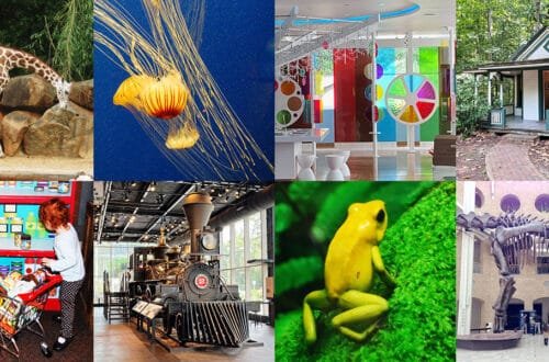 The Best Things to do with Toddlers and Preschoolers in Atlanta | atlantaandbeyond.com