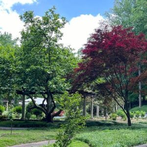 Cator Woolford Gardens Atlanta | atlantaandbeyond.com