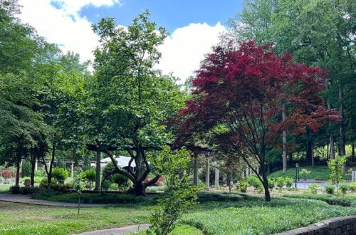 Cator Woolford Gardens Atlanta | atlantaandbeyond.com