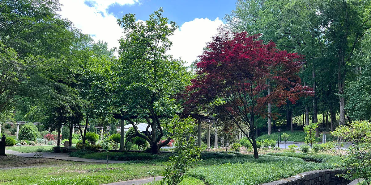Cator Woolford Gardens Atlanta: How to Visit this Hidden Gem