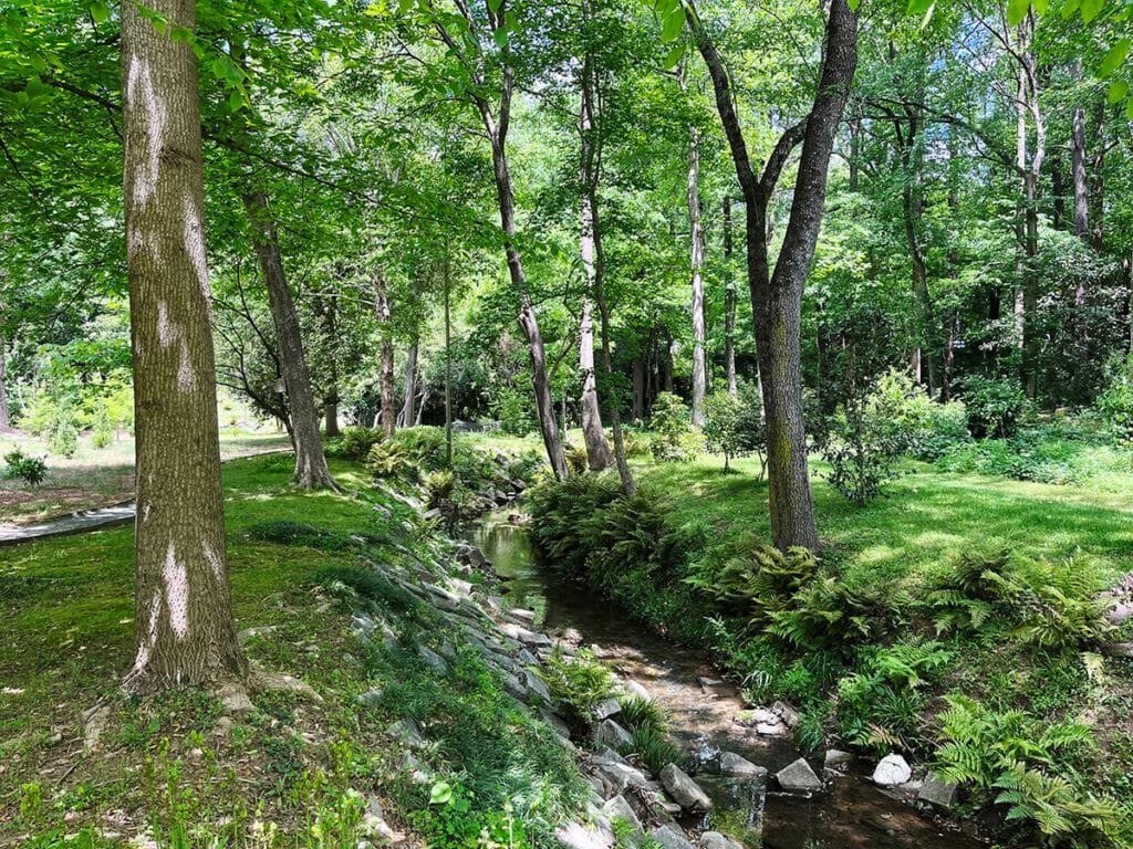 Lullwater Creek in Cator Woolford Gardens Atlanta | atlantaandbeyond.com