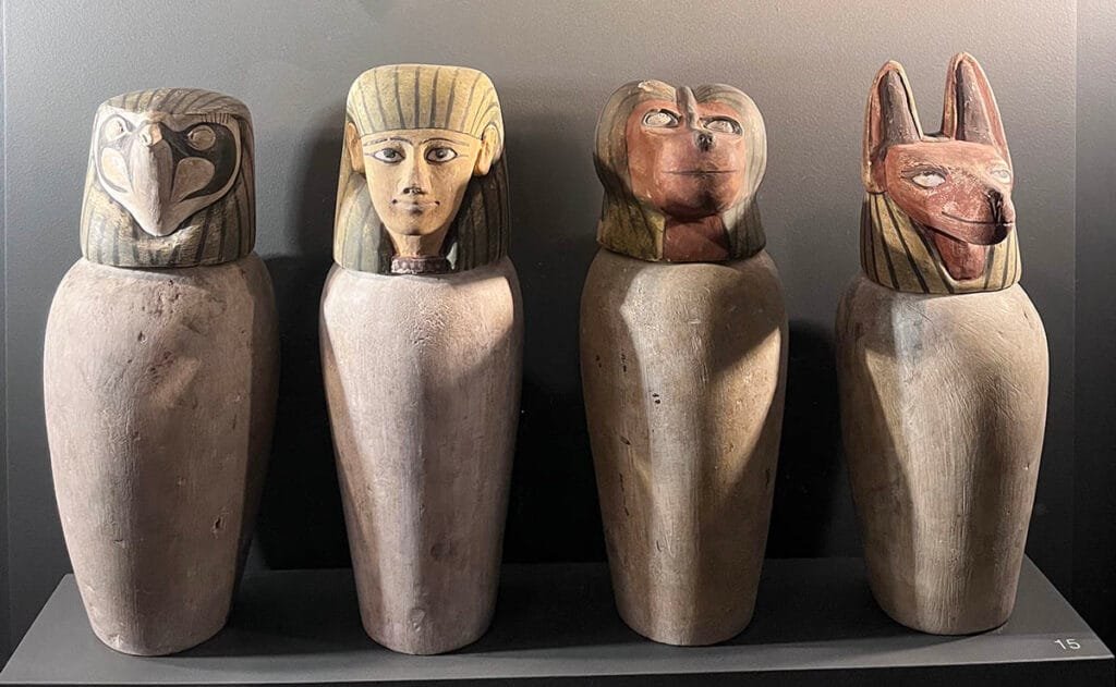 Mummified Animals at the Emory University Museum | atlantaandbeyond.com