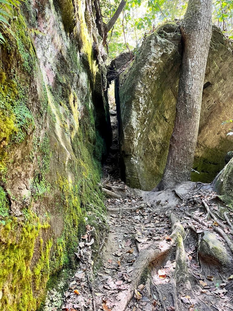 Fat Man's Squeeze in Dismals Canyon, Alabama | atlantaandbeyond.com