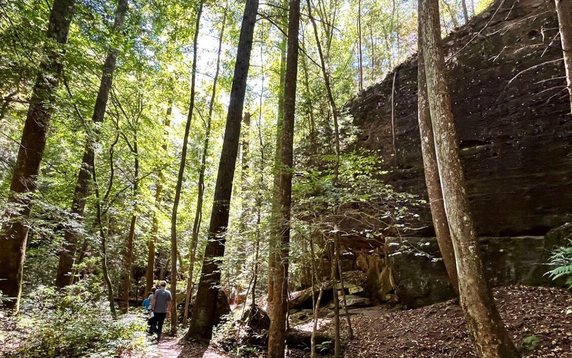 Sandstone cliffs where the Dismals Canyon Glow Worms live in Alabama | atlantaandbeyond.com
