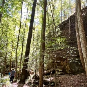 Sandstone cliffs where the Dismals Canyon Glow Worms live in Alabama | atlantaandbeyond.com