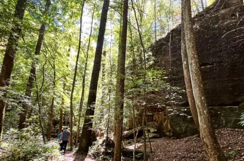 Sandstone cliffs where the Dismals Canyon Glow Worms live in Alabama | atlantaandbeyond.com