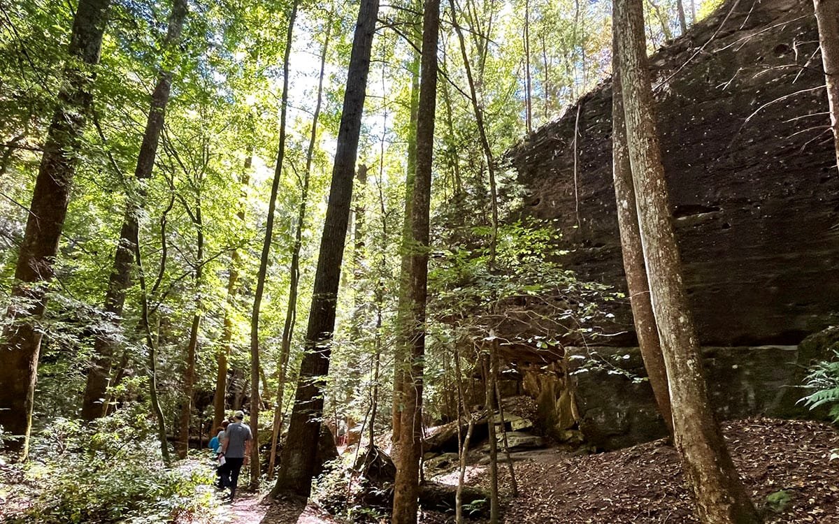 Dismals Canyon Glow Worms: A Family Weekend in Alabama