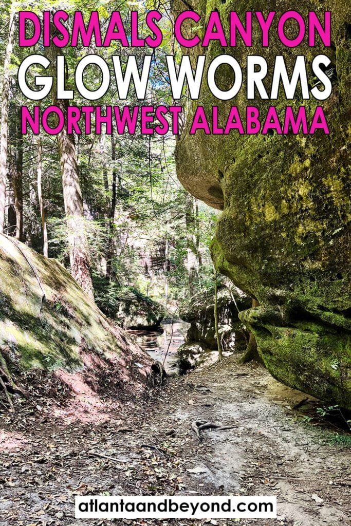 Dismals Canyon Glow Worms in Alabama, USA | atlantaandbeyond.com