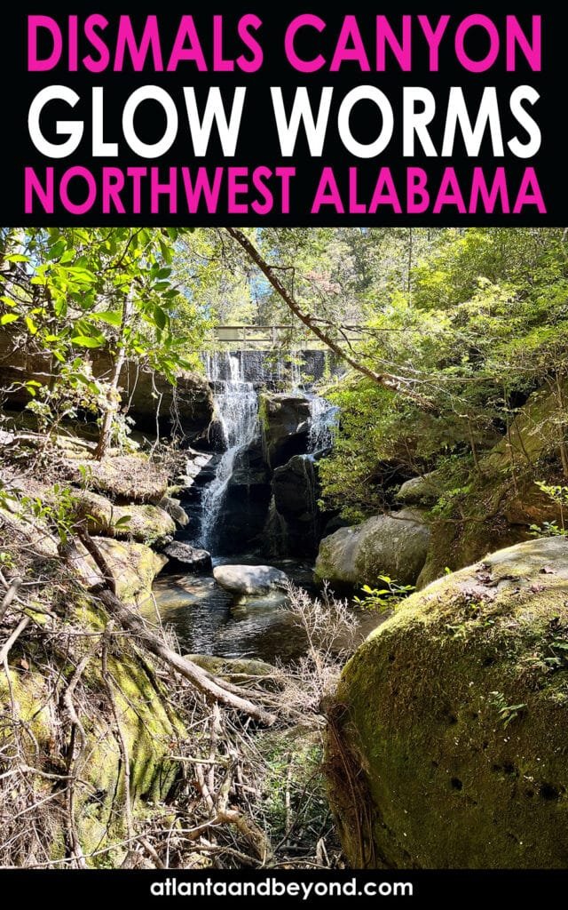 Dismals Canyon Glow Worms in Alabama, USA | atlantaandbeyond.com