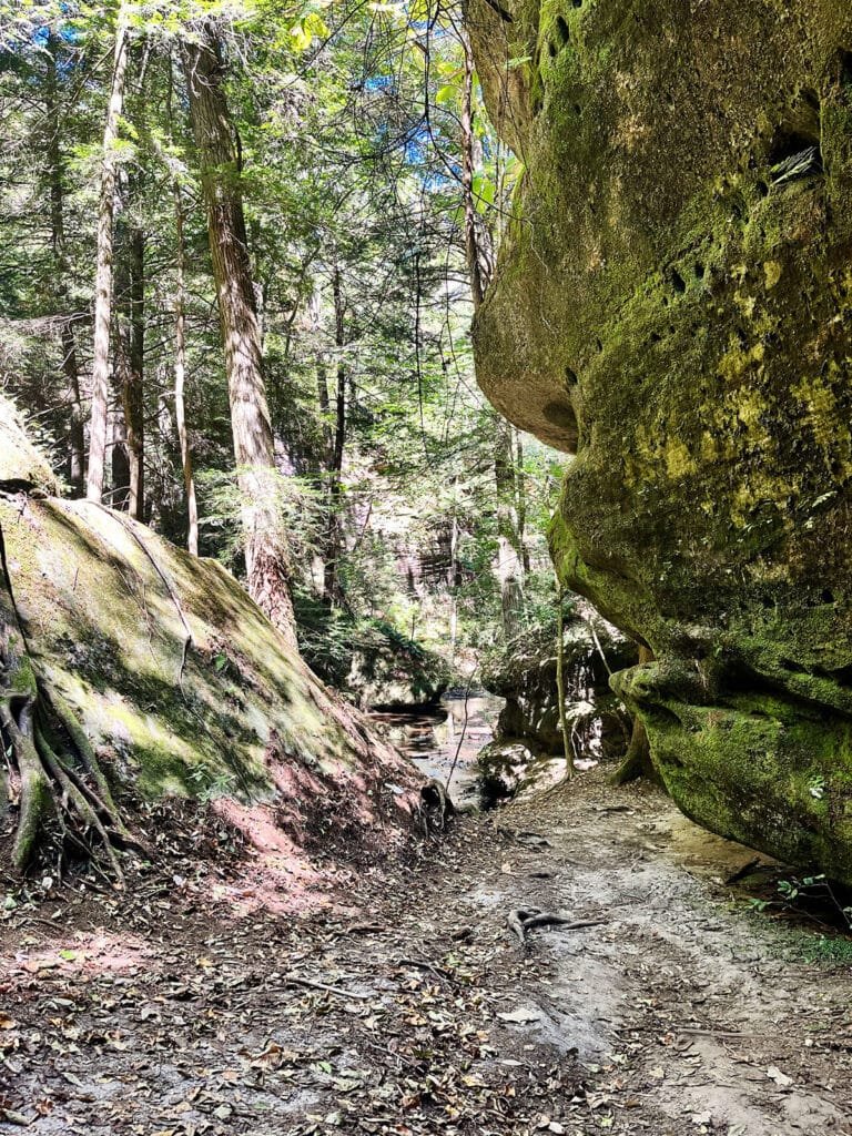 Sandstone cliffs in Dismals Canyon, Alabama | atlantaandbeyond.com