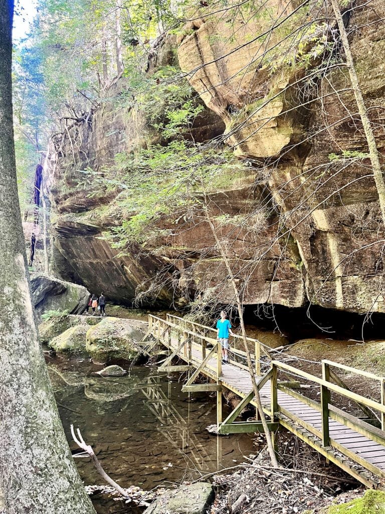 Sandstone cliffs in Dismals Canyon, Alabama | atlantaandbeyond.com