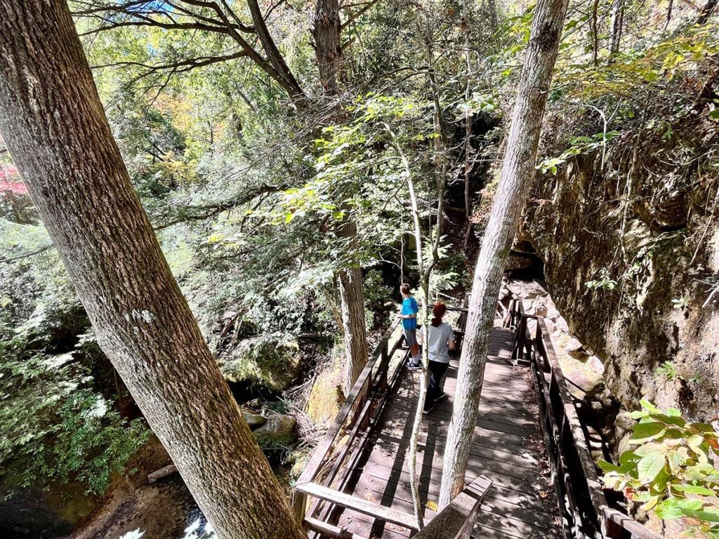 Stairs leading down to Dismal's Canyon | atlantaandbeyond.com