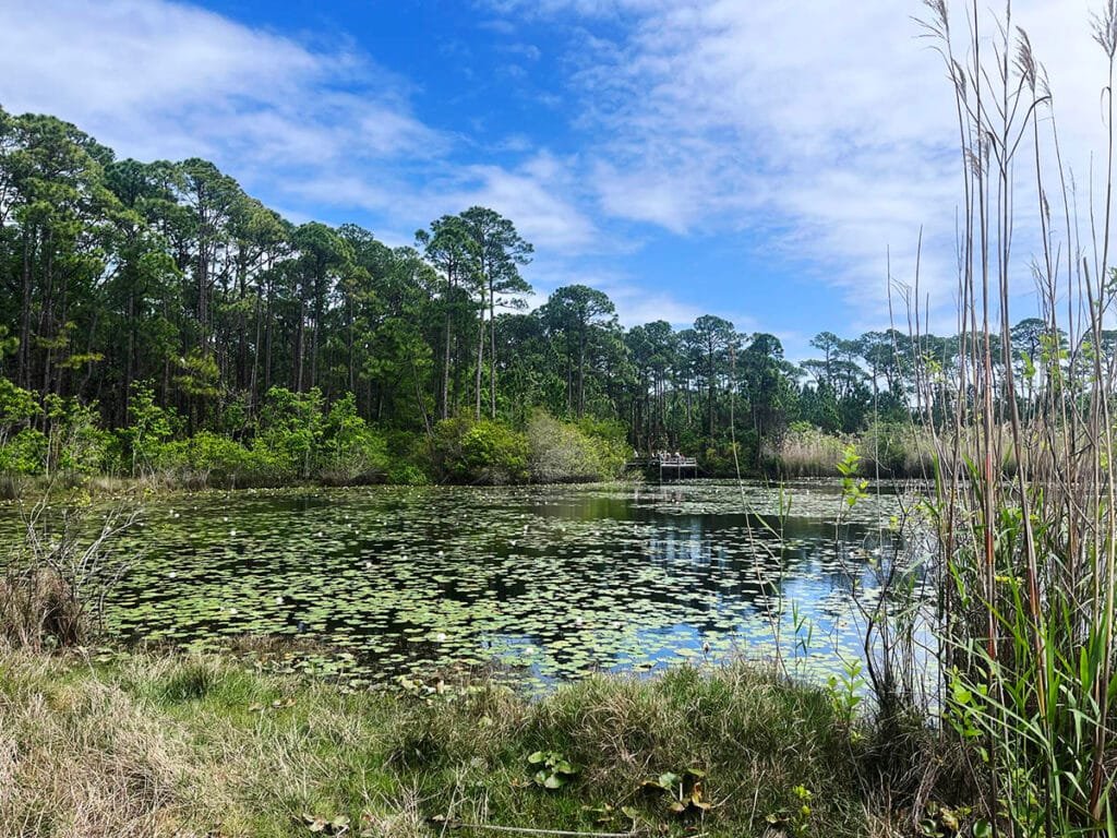 Audubon Bird Sanctuary on Dauphin Island, Alabama | atlantaandbeyond.com