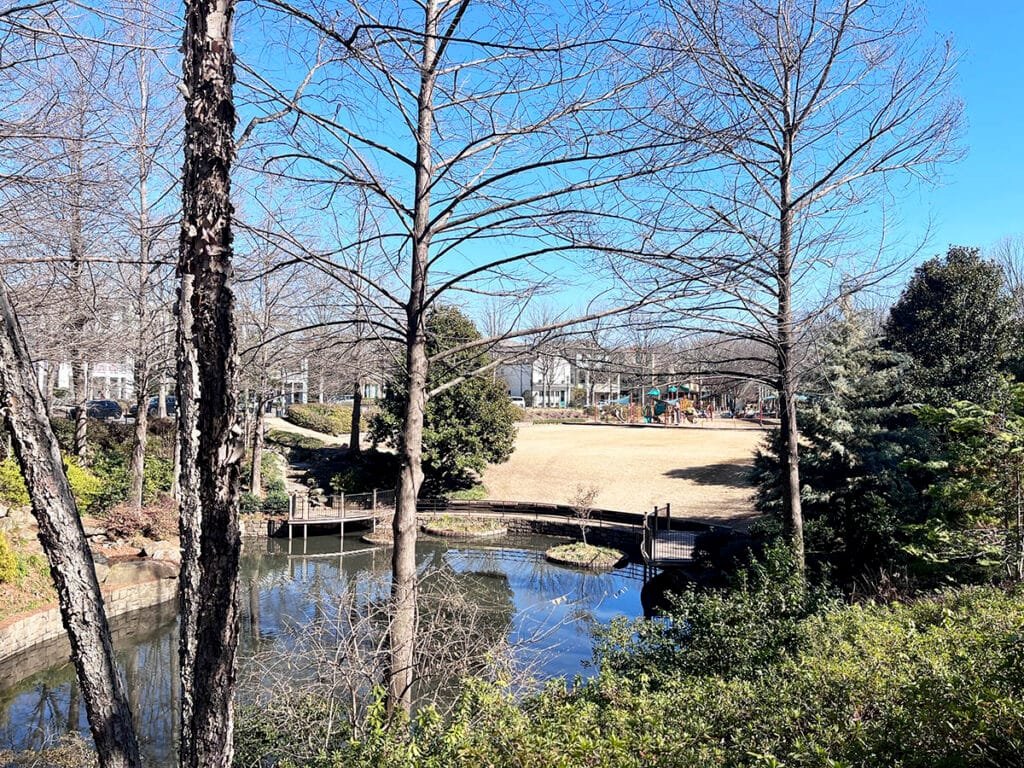 Overlooking the water feature (retention pond) in Brewer Park in Atlanta's Glenwood Park neighborhood | atlantaandbeyond.com
