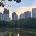How to Spend One Day in Midtown Atlanta - view from Piedmont Park | atlantaandbeyond.com