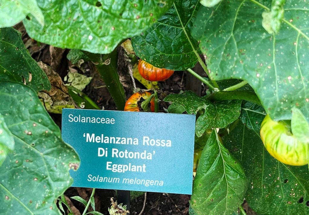 Plan labels in the Edible Garden | atlantaandbeyond.com